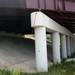 Red arrow points to where a stray cat was found hiding under and overpass along I-94 on Tuesday afternoon. Photos courtesy of Humane Society of Huron Valley